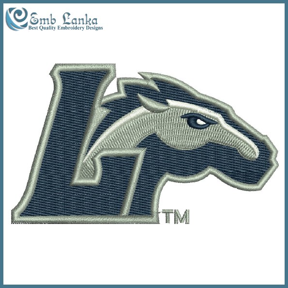 Longwood Lancers Garden Flag – Show Your School Spirit!