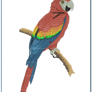 Parrot Embroidery Design