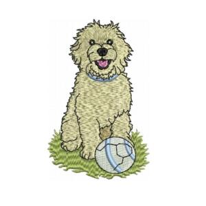Goldendoodle Dog Sitting with Soccer Ball Embroidery Design